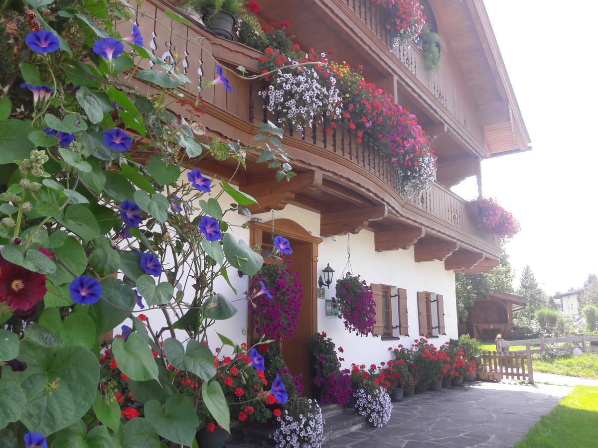 Hofbauer Villa Itter Eksteriør billede