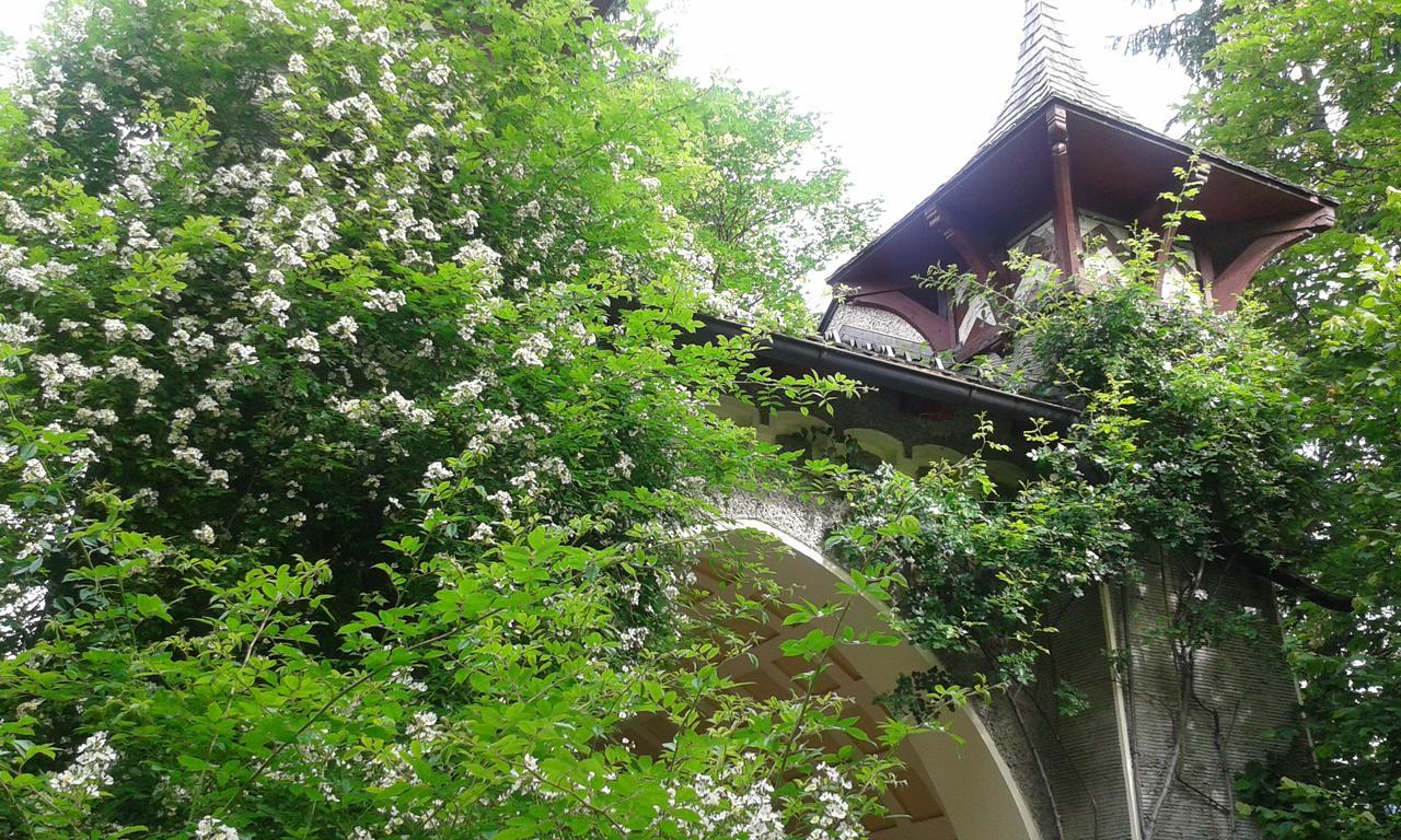 Hofbauer Villa Itter Eksteriør billede